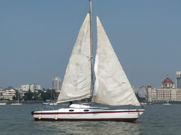 Maxi Dark Sailing Yacht In Mumbai.