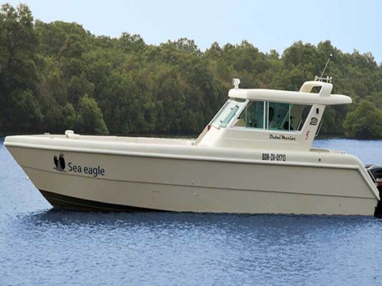 Sea-eagle-yacht-booking-goa